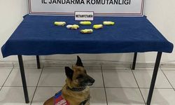 Kars'ta arama köpeği “Tabya” zehir tacirlerine geçit vermiyor!