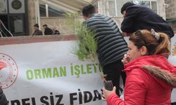 Dünya Ormancılık Haftası kapsamında fidan dikimi ve dağıtımı yapıldı