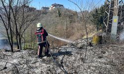 Ordu’da bahçe ve anız yangınları arttı