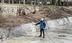 Isparta Belediyesinden larva mücadelesiyle yaz hazırlığı