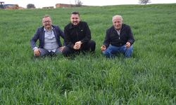Yağışlar Antalyalı çiftçilerini sevindirdi