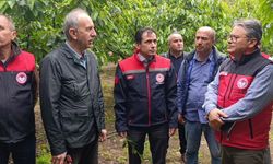 Tarım uzmanları Amasya’da don hasarını yerinde inceledi