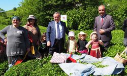 ÇAYKUR geleneği sürdürdü, minikler çay hasadında makas salladı