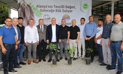 ALTSO keçiboynuzunun tescilini aldı, 3 bin fidan dağıttı