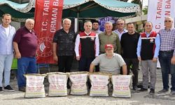 İzmir'de ayçiçeği üreticilerine yerli tohum desteği