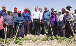 Mersin'de çiftçinin yüzünü güldüren hamle