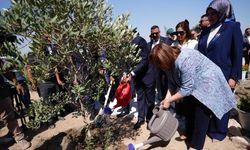 Gaziantep ve Bağdat kardeşliği! Türkiye Bahçesi’ne 5 bin fidan