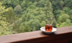 Rize'den 4 ayda 5,5 milyon dolarlık çay ihracatı