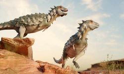 Dinozor fosilleri, kanser araştırmalarında yeni bir dönem başlatabilir