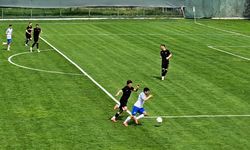 Diyarbekirspor, Ankara Demirspor'a 4-0 yenilerek küme düştü