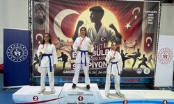 Şehit Eren Bülbül İllerarası Karate Şampiyonası'nda büyük başarı!
