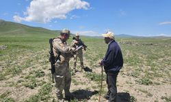 Kars'ta huzur ve güven uygulamasında 480 kök kenevir ele geçirildi