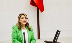 Elvan Işık Gezmiş; İktidar Giresun'un sorunlarına ilgisiz