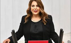 Elvan Işık Gezmiş: Vahşi madencilik köylerimizi etkiliyor