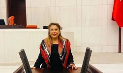 Elvan Işık Gezmiş, Giresun'un sorunlarını Meclis'e taşıyor