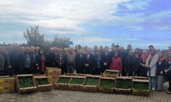 Trabzon'da fidan dağıtım etkinliği gerçekleştirildi