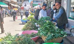 Van’da yöresel otlara yoğun ilgi uçkun ve diğer şifalı bitkiler tezgâhlarda yerini aldı
