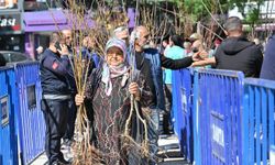 Isparta'da 15 bin adet meyve fidanı dağıtıldı