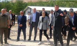 Burdur’da sahipsiz hayvanlar için ortak adım