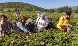 Isparta’ya gül turizminde bu yıl rekor ziyaretçi bekleniyor