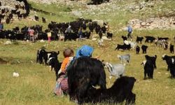 Antalya'da serin diyarlara göç: Yörükler yayla yolunda