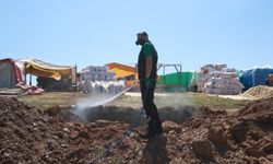 Kurban pazarlarında haşere mesaisi başladı