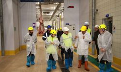 TSE’den Kocaeli Büyükşehir mezbahasına tam not