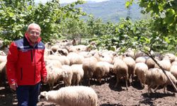 Başkan Güler: Dağıtımını yaptığımız hayvanları kendimiz yetiştiriyoruz