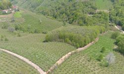 Ordu Büyükşehir Belediyesi'nden Gürgentepe'ye ilave içme suyu