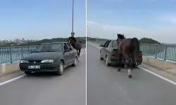 Otomobile bağladığı at ile ilerleyen 2 kişi gözaltına alındı