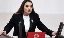 'İYİ Partili Ayyüce Türkeş’e babası Alparslan Türkeş'in kabri önünde saldırı' iddiası