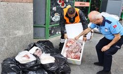 Antalya'da usulsüz şekilde taşınan 300 kilogram ete el kondu