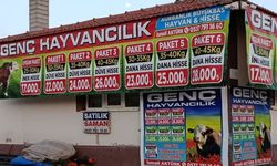 Afyonkarahisar’da Kurbanlık fiyatları belli oldu!