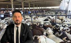 Ferit Akkurt’tan kurbanlık seçimi ve kesim rehberi: “Kurban kesimi hijyenik, ruhsatlı alanlarda yapılmalı”