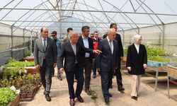 Ordu'da tarımda yeni bir dönem: Biyoinovasyon Merkezi faaliyete geçti