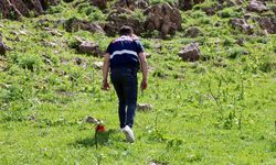 Ters Laleleri Jandarmalar Koruyor