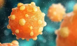Uçuk virüsü Alzheimer’la bağlantılı olabilir