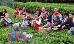 İbrahim Yumaklı: Meteorolojik olayların çaya bizim korktuğumuz bir etkisi olmadı