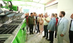 Muğla’da zeytinyağı kalitesi etkinliği düzenlendi