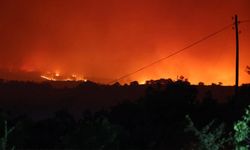 Bilecik’te korkutan orman yangını