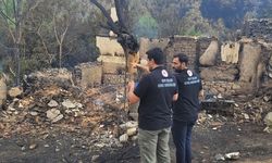 Bilecik’te yangın hasarı belli oldu: 47 yapı yıkıldı