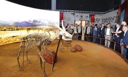 Kayseri Büyükşehir'den Adalet Bakanı'na fosil sunumu