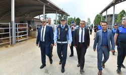 Ankara Büyükşehir Belediyesi'nden kurban satış ve kesim alanlarına denetim