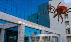 Ankara Büyükşehir’den kene uyarısı: Yeşil alanlara gidenler dikkat!