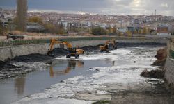 ASKİ'den bayram öncesi uyarı: Kurban atıklarını dere yatakları ve hatlara atmayın