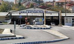 Burdur’da kurbanlık fiyatları yüzde 30-40 düştü!
