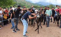 Kumluca Karacaören Şenliği:  Motokros heyecanı ve eşek yarışları renk kattı