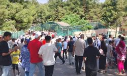 Gaziantep Doğal Yaşam Parkı 90 bin ziyaretçi ağırladı
