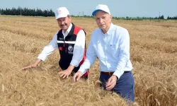 Bilgiç: Yerli tohum ve Ar-Ge; olmazsa olmazımızdır