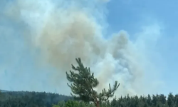 Son dakika... Bursa’da anız yangını ormana sıçradı!